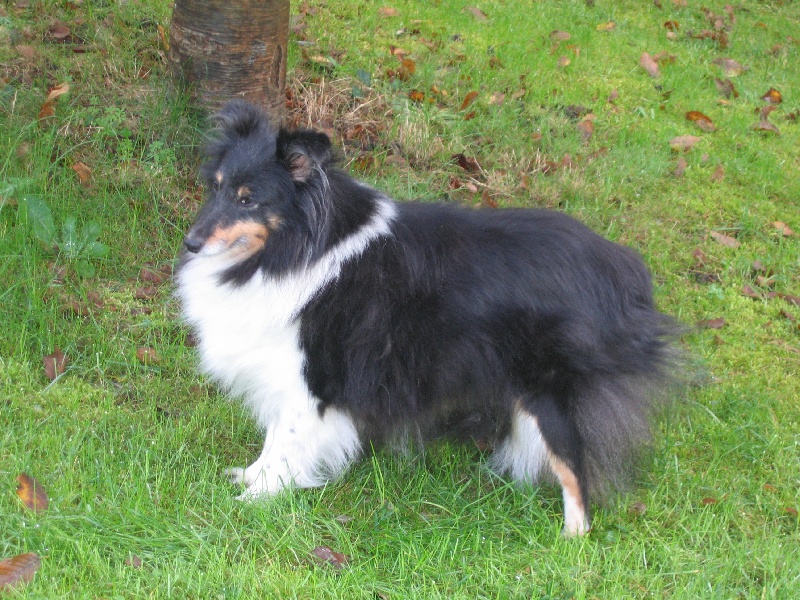 Olympe black De la maison carmes