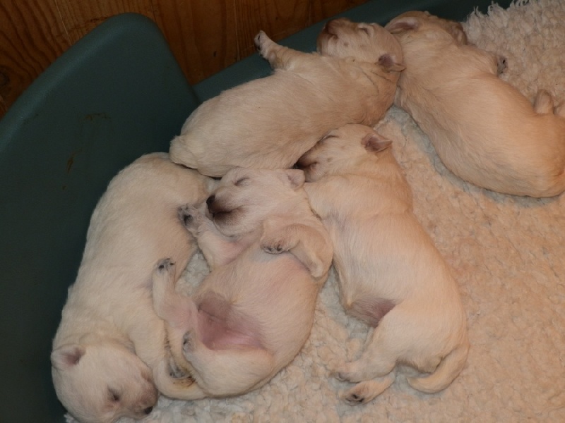 bébés de emie 2012